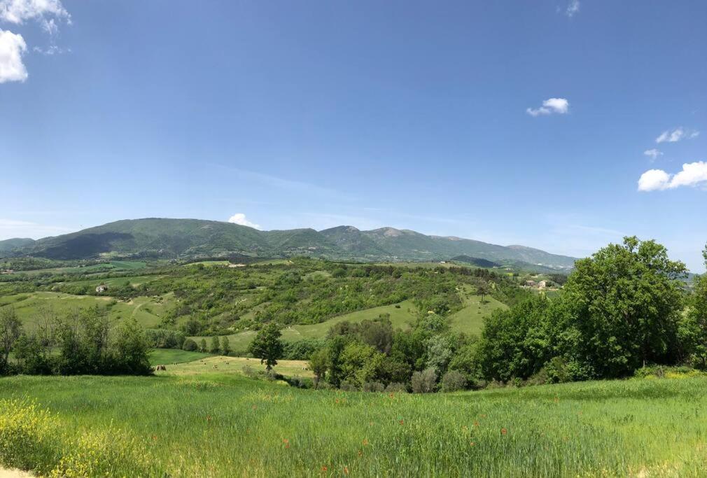 Casa Vacanze Vecchio Frantoio Residenza Leccino 스폴레토 외부 사진
