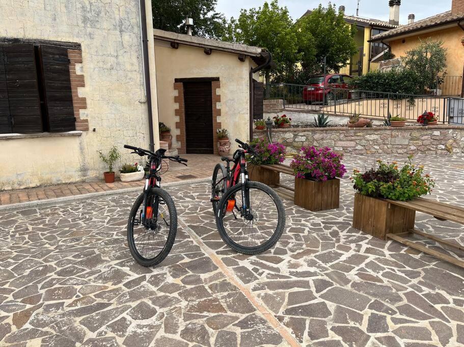 Casa Vacanze Vecchio Frantoio Residenza Leccino 스폴레토 외부 사진
